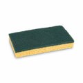 Pinpoint 3.6 x 6.1 in. Scrubbing Medium Duty Sponge, Green PI3194258